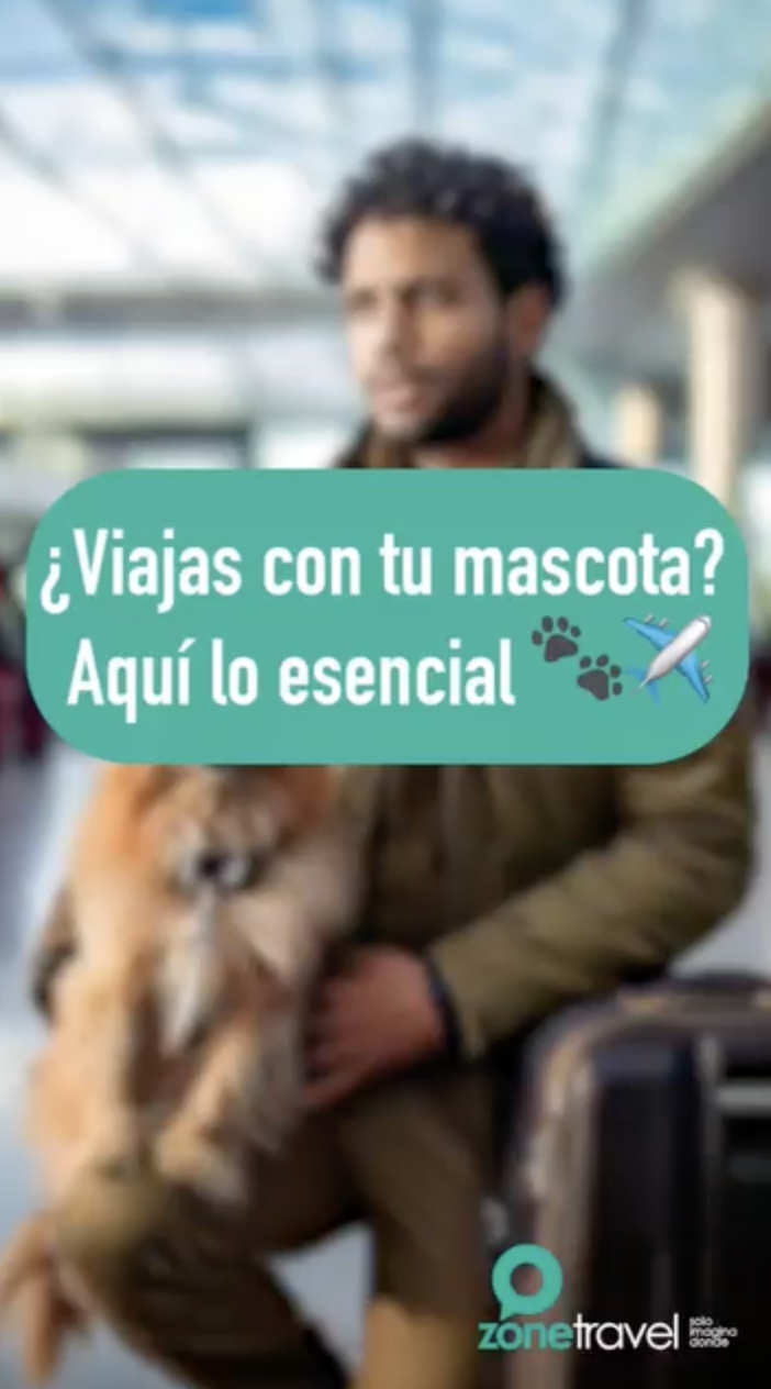 Video 3